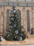 Vánoční strom v Plzni