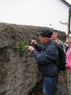 Pan Ch�n ur�uje slezin�k �erven� na zdi �idovsk�ho h�bitova ve Volyni