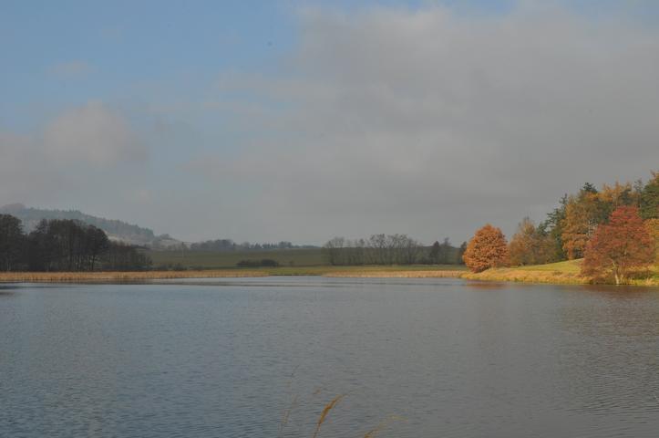 Horní øepický rybník